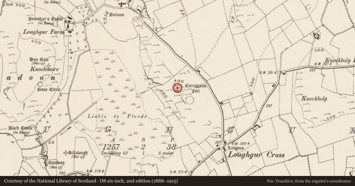 Ordnance Survey six-inch map, 2nd edition (1888–1915) covering the location of Ringfort - cashel, Loughgur, County Limerick, with a pin at the register's coordinates