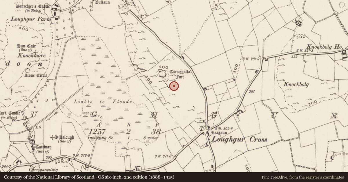 Ordnance Survey six-inch map, 2nd edition (1888–1915) covering the location of Ringfort - cashel, Loughgur, County Limerick, with a pin at the register's coordinates