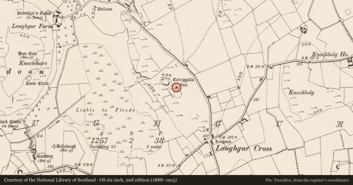 Ordnance Survey six-inch map, 2nd edition (1888–1915) covering the location of Settlement cluster, Loughgur, County Limerick, with a pin at the register's coordinates
