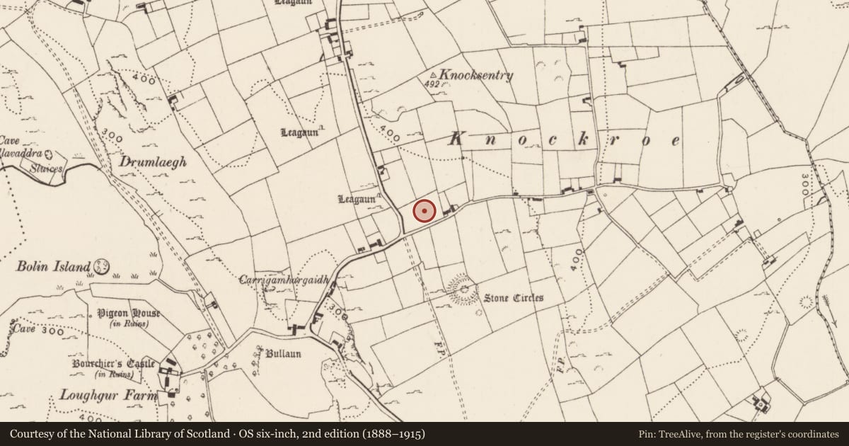 Ordnance Survey six-inch map, 2nd edition (1888–1915) covering the location of Flat cemetery, Loughgur, County Limerick, with a pin at the register's coordinates