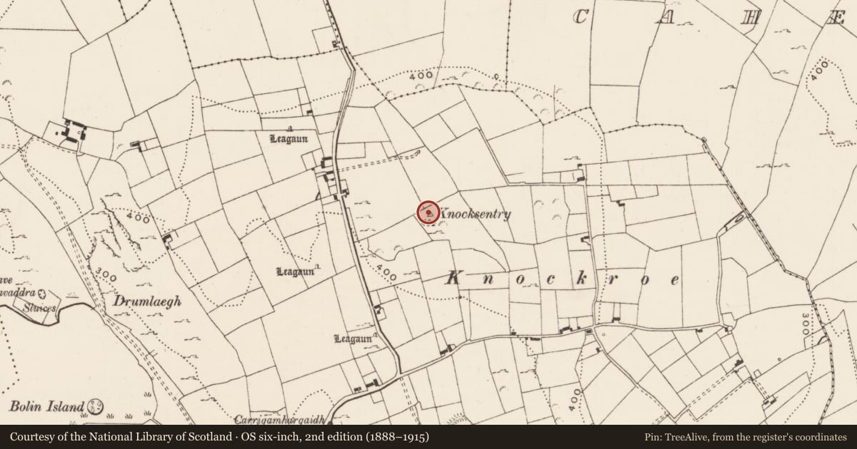 Ordnance Survey six-inch map, 2nd edition (1888–1915) covering the location of Earthwork, Loughgur, County Limerick, with a pin at the register's coordinates