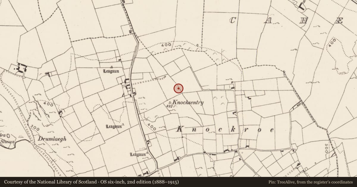 Ordnance Survey six-inch map, 2nd edition (1888–1915) covering the location of Mound, Loughgur, County Limerick, with a pin at the register's coordinates