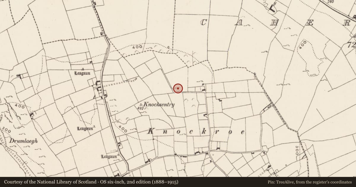 Ordnance Survey six-inch map, 2nd edition (1888–1915) covering the location of Enclosure, Loughgur, County Limerick, with a pin at the register's coordinates