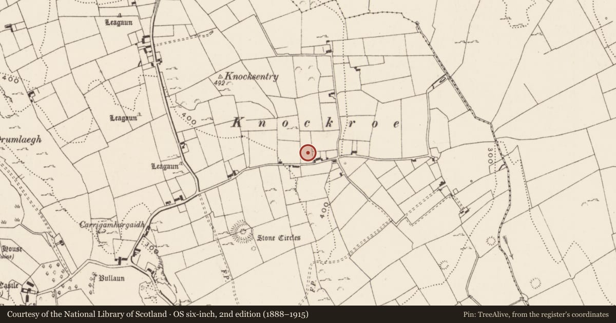 Ordnance Survey six-inch map, 2nd edition (1888–1915) covering the location of Hut site, Loughgur, County Limerick, with a pin at the register's coordinates
