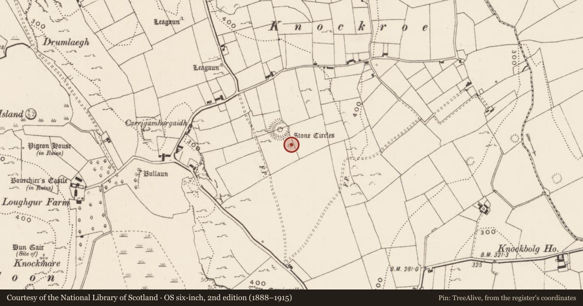Ordnance Survey six-inch map, 2nd edition (1888–1915) covering the location of Burial mound, Loughgur, County Limerick, with a pin at the register's coordinates