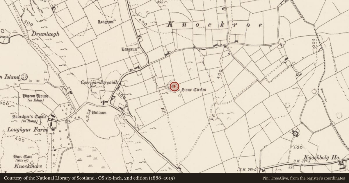 Ordnance Survey six-inch map, 2nd edition (1888–1915) covering the location of Stone circle - embanked, Loughgur, County Limerick, with a pin at the register's coordinates