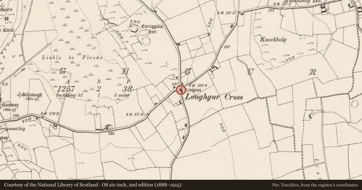 Ordnance Survey six-inch map, 2nd edition (1888–1915) covering the location of Standing stone, Loughgur, County Limerick, with a pin at the register's coordinates
