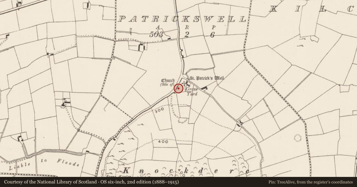 Ordnance Survey six-inch map, 2nd edition (1888–1915) covering the location of Graveyard, Patrickswell, County Limerick, with a pin at the register's coordinates