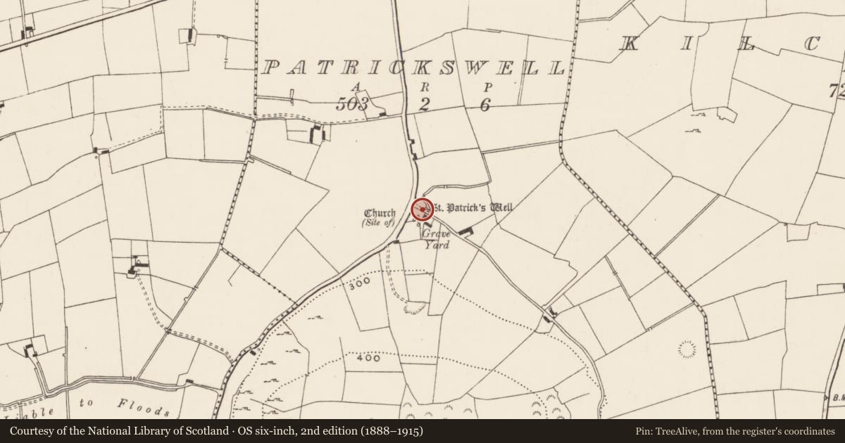 Ordnance Survey six-inch map, 2nd edition (1888–1915) covering the location of Ritual site - holy well, Patrickswell, County Limerick, with a pin at the register's coordinates