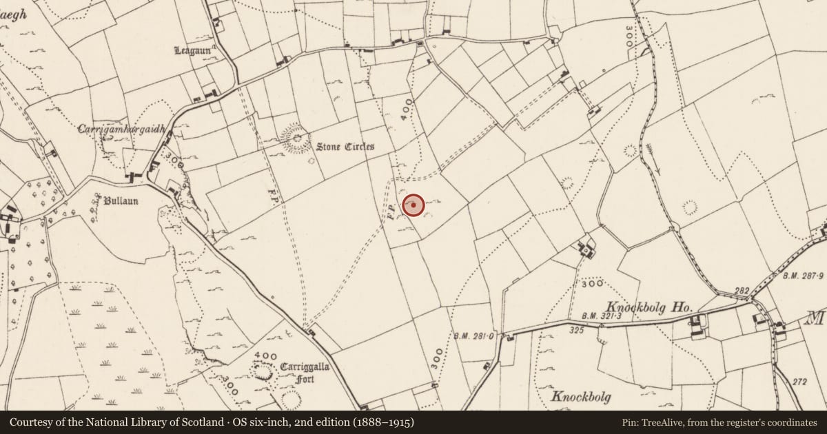 Ordnance Survey six-inch map, 2nd edition (1888–1915) covering the location of Standing stone, Loughgur, County Limerick, with a pin at the register's coordinates