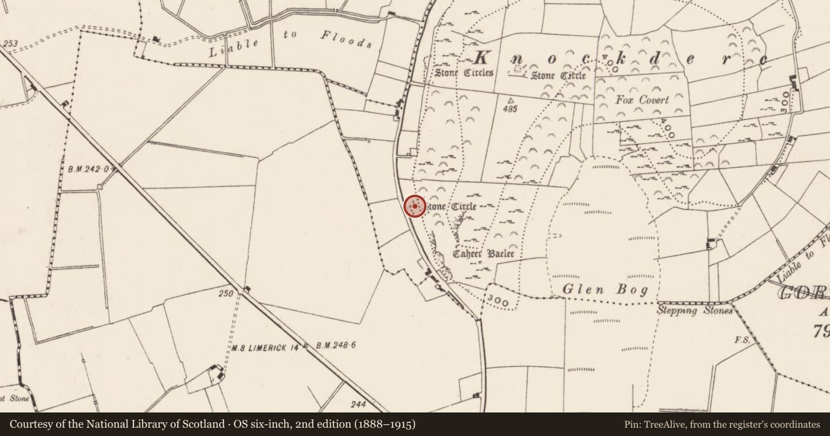 Ordnance Survey six-inch map, 2nd edition (1888–1915) covering the location of Stone circle, Patrickswell, County Limerick, with a pin at the register's coordinates