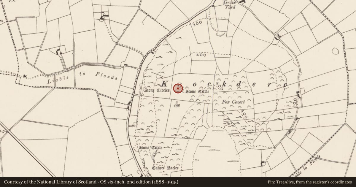 Ordnance Survey six-inch map, 2nd edition (1888–1915) covering the location of Stone circle, Patrickswell, County Limerick, with a pin at the register's coordinates