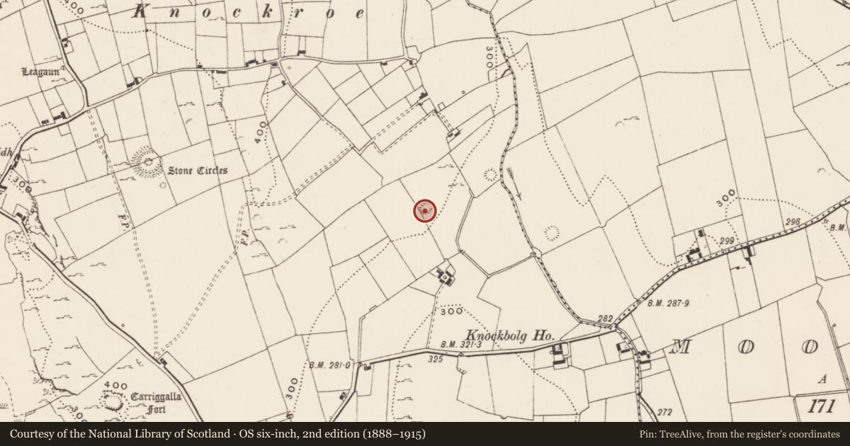 Ordnance Survey six-inch map, 2nd edition (1888–1915) covering the location of Ringfort - cashel, Loughgur, County Limerick, with a pin at the register's coordinates