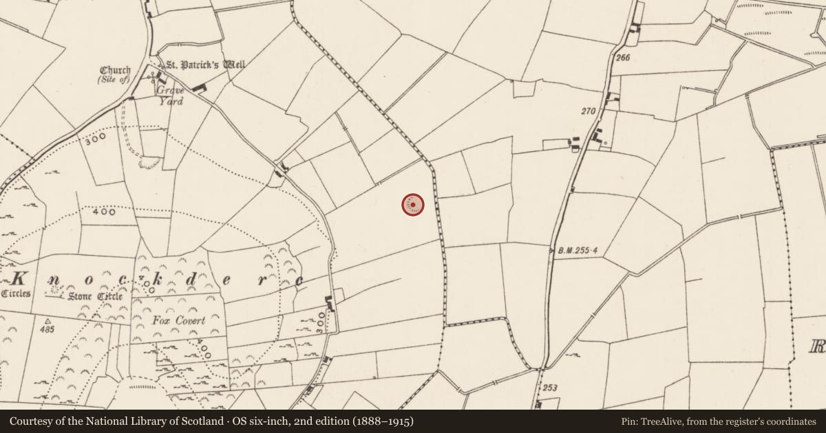 Ordnance Survey six-inch map, 2nd edition (1888–1915) covering the location of Ringfort - rath, Patrickswell, County Limerick, with a pin at the register's coordinates
