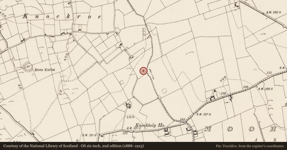 Ordnance Survey six-inch map, 2nd edition (1888–1915) covering the location of Ringfort - rath, Loughgur, County Limerick, with a pin at the register's coordinates