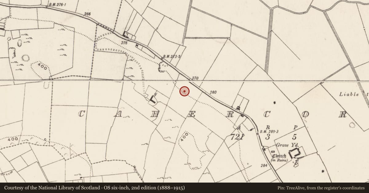 Ordnance Survey six-inch map, 2nd edition (1888–1915) covering the location of Standing stone, Cahercorney, County Limerick, with a pin at the register's coordinates