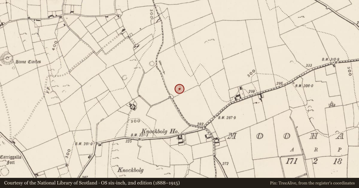 Ordnance Survey six-inch map, 2nd edition (1888–1915) covering the location of Enclosure, Cahercorney, County Limerick, with a pin at the register's coordinates