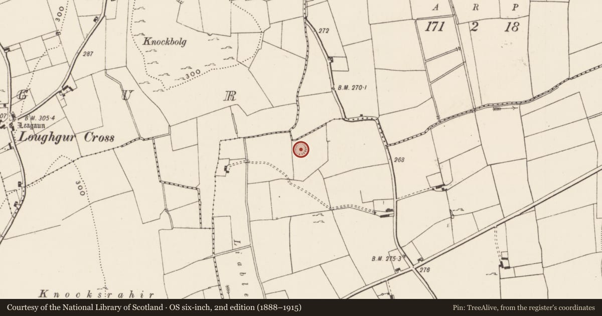 Ordnance Survey six-inch map, 2nd edition (1888–1915) covering the location of Ringfort - rath, Kilcullane, County Limerick, with a pin at the register's coordinates