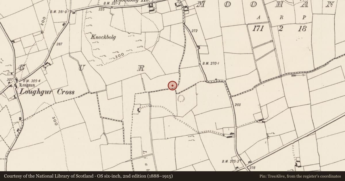 Ordnance Survey six-inch map, 2nd edition (1888–1915) covering the location of Earthwork, Loughgur, County Limerick, with a pin at the register's coordinates