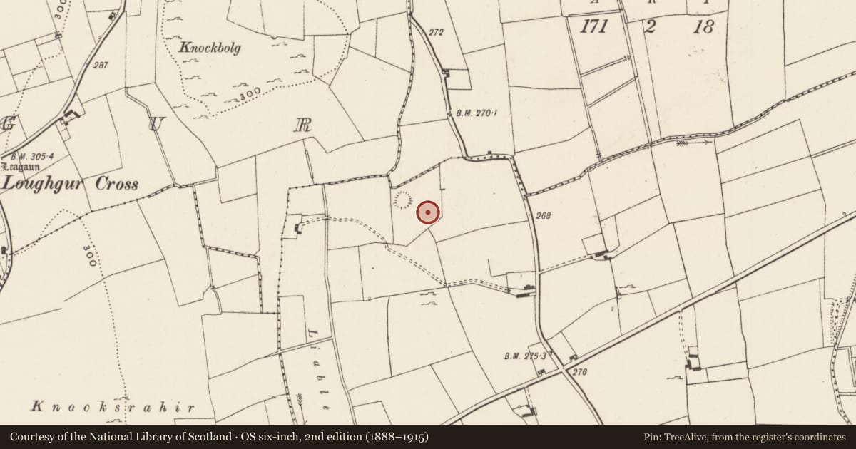Ordnance Survey six-inch map, 2nd edition (1888–1915) covering the location of Settlement cluster, Kilcullane, County Limerick, with a pin at the register's coordinates