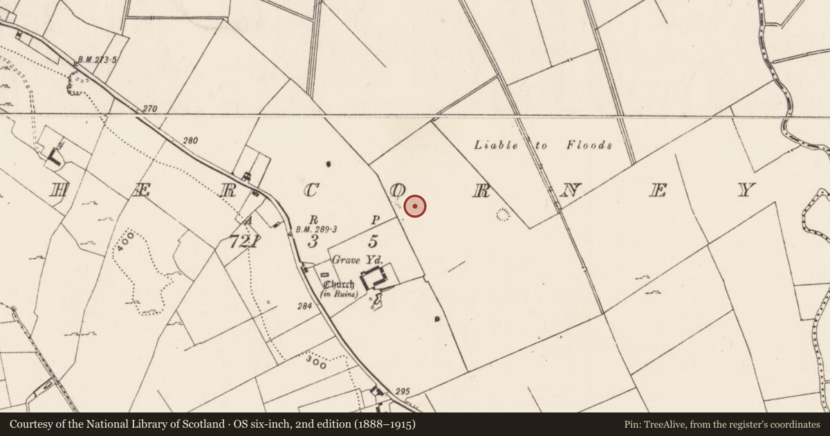 Ordnance Survey six-inch map, 2nd edition (1888–1915) covering the location of Barrow - ring-barrow, Cahercorney, County Limerick, with a pin at the register's coordinates