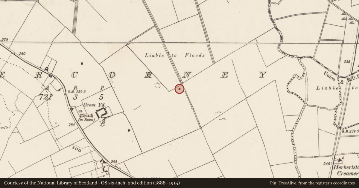 Ordnance Survey six-inch map, 2nd edition (1888–1915) covering the location of Barrow - ring-barrow, Cahercorney, County Limerick, with a pin at the register's coordinates
