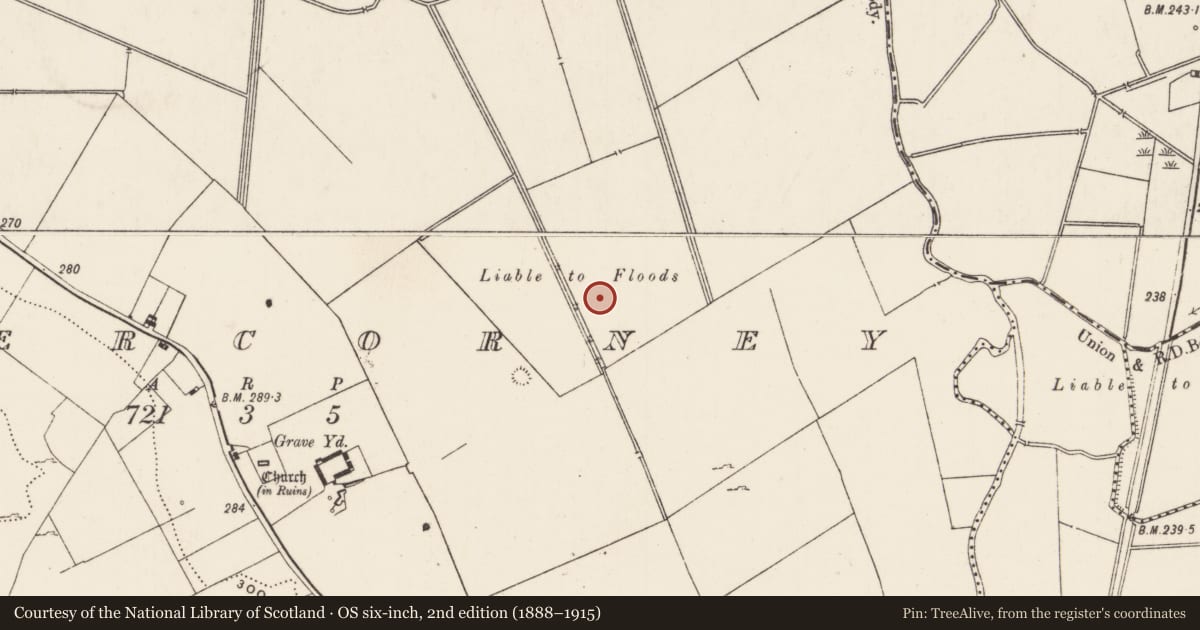 Ordnance Survey six-inch map, 2nd edition (1888–1915) covering the location of Mound, Cahercorney, County Limerick, with a pin at the register's coordinates