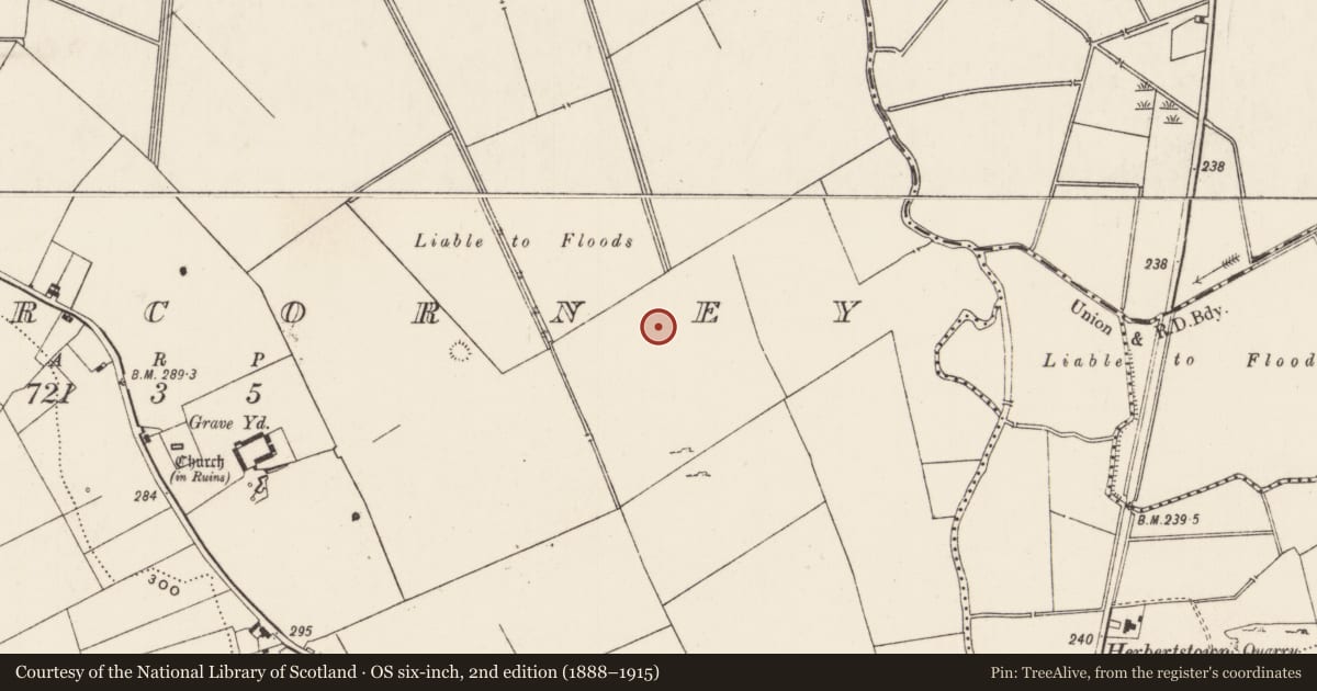 Ordnance Survey six-inch map, 2nd edition (1888–1915) covering the location of Enclosure, Cahercorney, County Limerick, with a pin at the register's coordinates