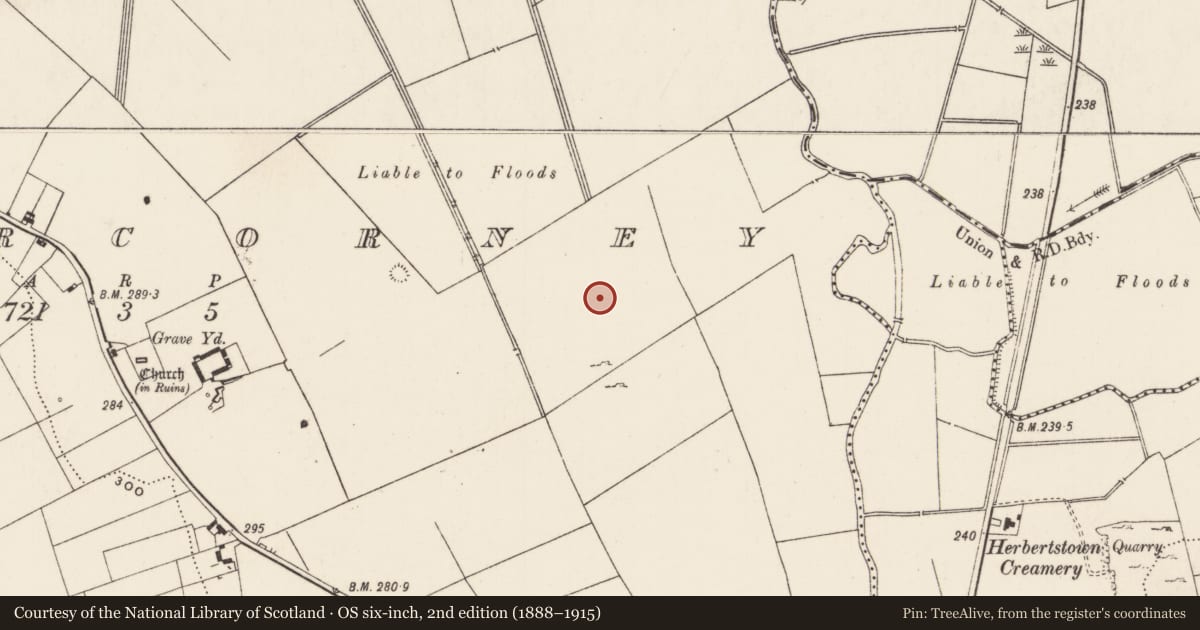 Ordnance Survey six-inch map, 2nd edition (1888–1915) covering the location of Enclosure, Cahercorney, County Limerick, with a pin at the register's coordinates