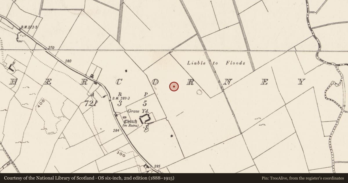 Ordnance Survey six-inch map, 2nd edition (1888–1915) covering the location of Mound, Cahercorney, County Limerick, with a pin at the register's coordinates
