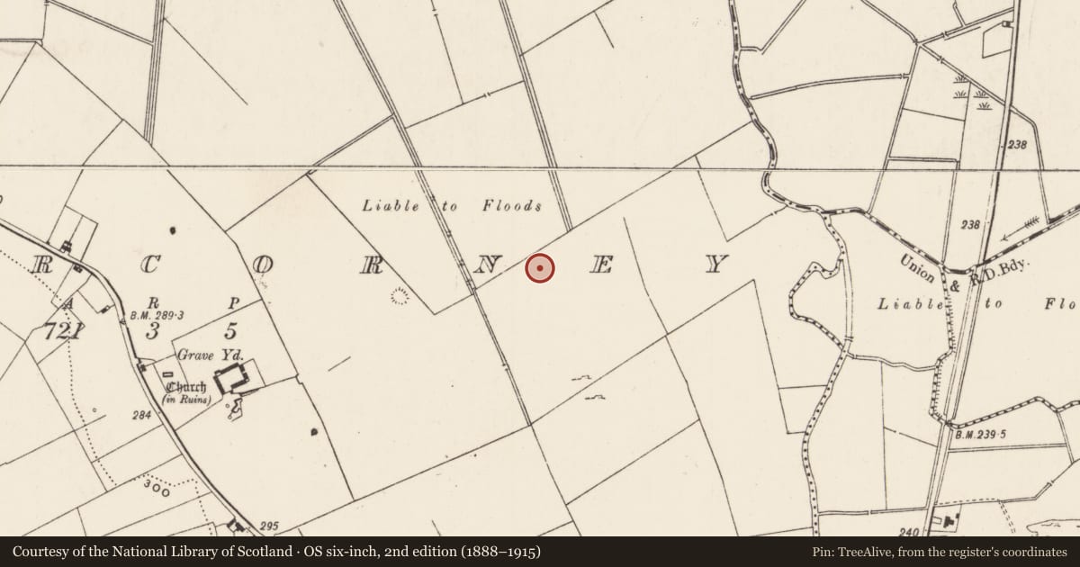Ordnance Survey six-inch map, 2nd edition (1888–1915) covering the location of Earthwork, Cahercorney, County Limerick, with a pin at the register's coordinates