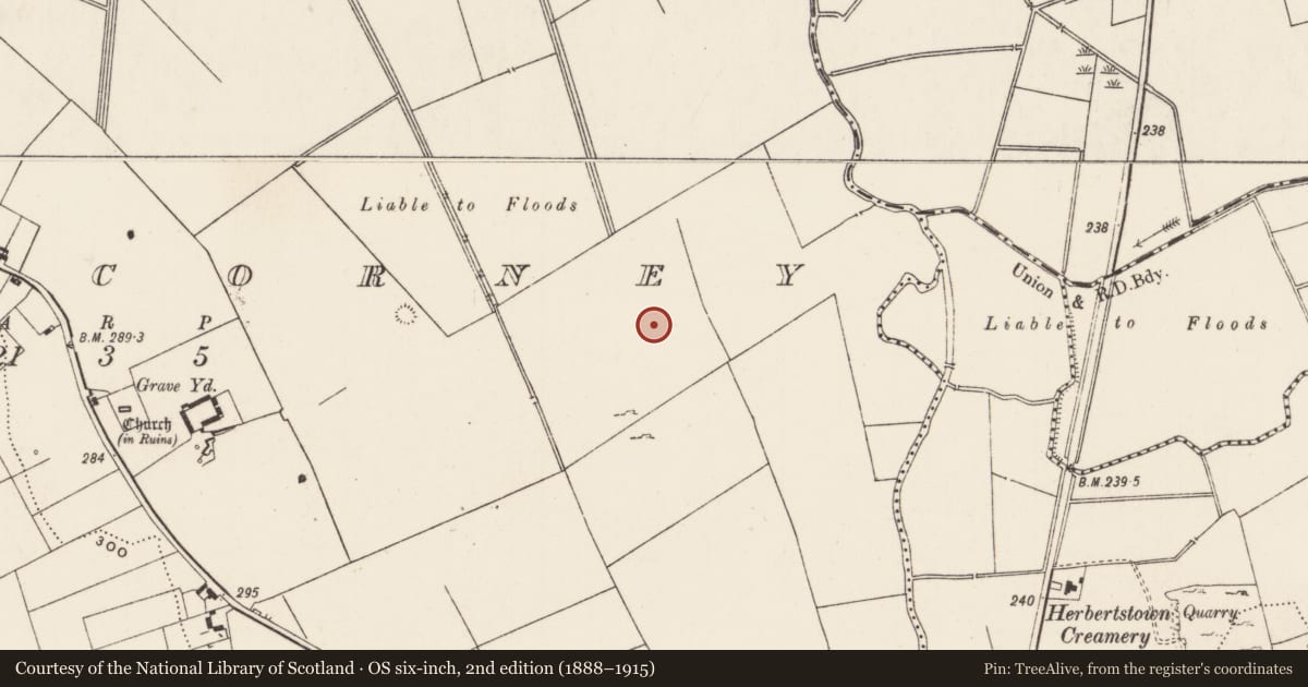 Ordnance Survey six-inch map, 2nd edition (1888–1915) covering the location of Enclosure, Cahercorney, County Limerick, with a pin at the register's coordinates