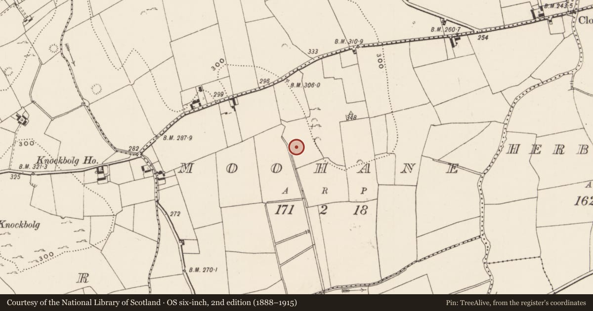 Ordnance Survey six-inch map, 2nd edition (1888–1915) covering the location of Standing stone, Moohane, County Limerick, with a pin at the register's coordinates
