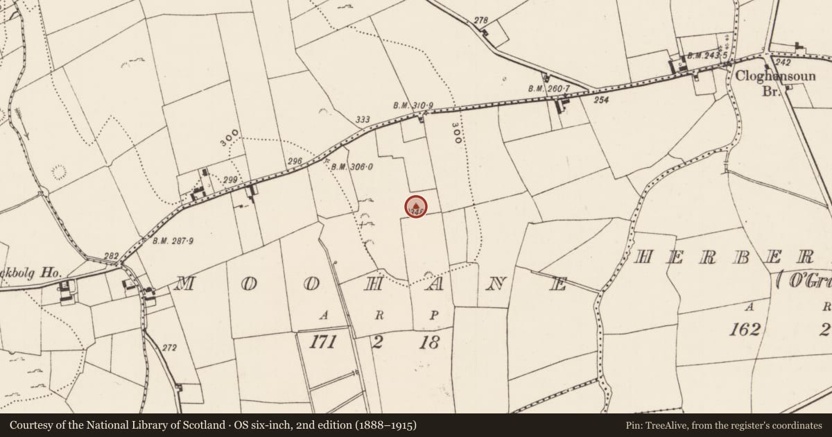 Ordnance Survey six-inch map, 2nd edition (1888–1915) covering the location of Standing stone, Moohane, County Limerick, with a pin at the register's coordinates