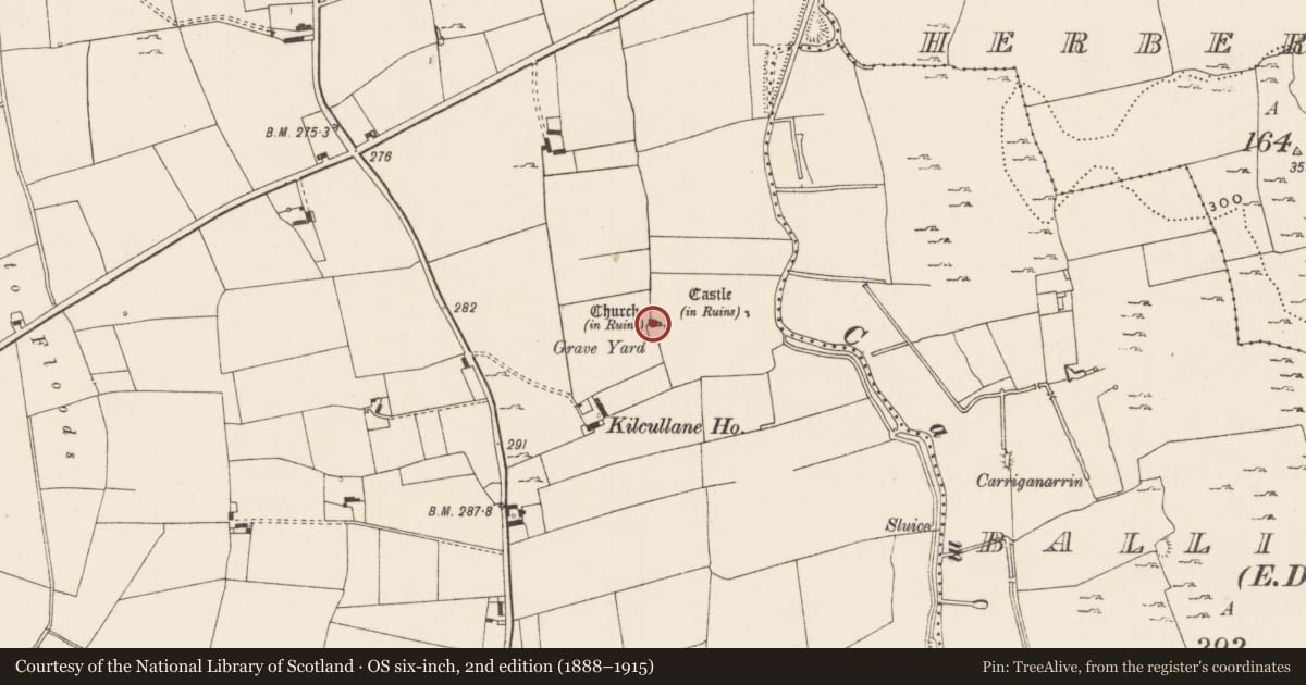 Ordnance Survey six-inch map, 2nd edition (1888–1915) covering the location of Church, Kilcullane, County Limerick, with a pin at the register's coordinates