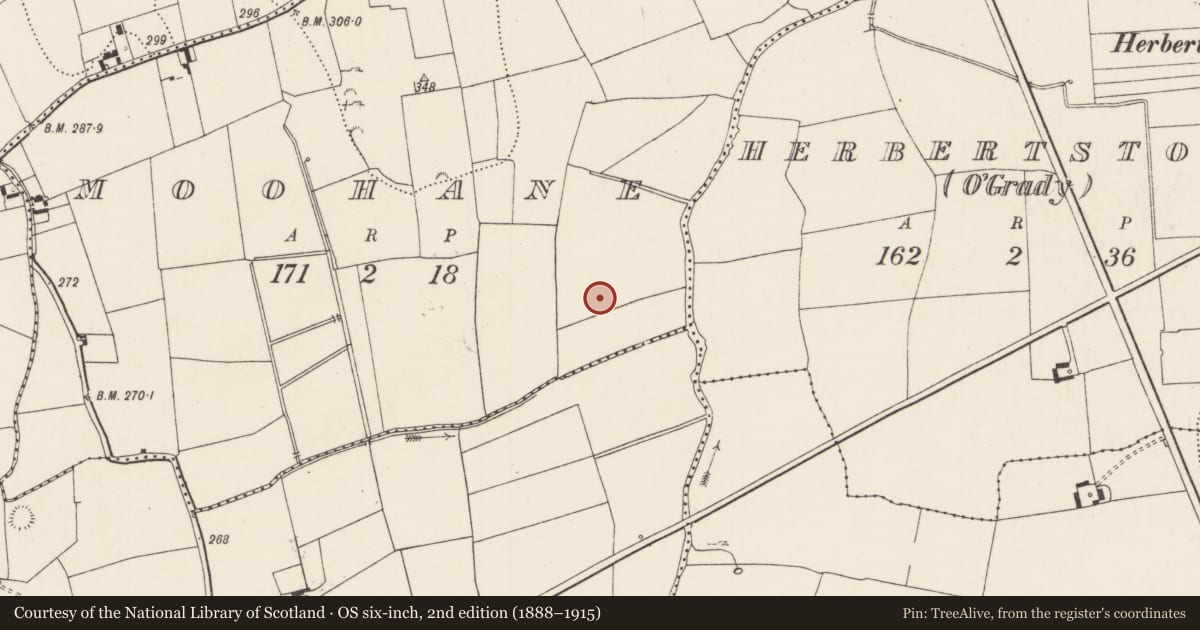 Ordnance Survey six-inch map, 2nd edition (1888–1915) covering the location of Enclosure, Moohane, County Limerick, with a pin at the register's coordinates