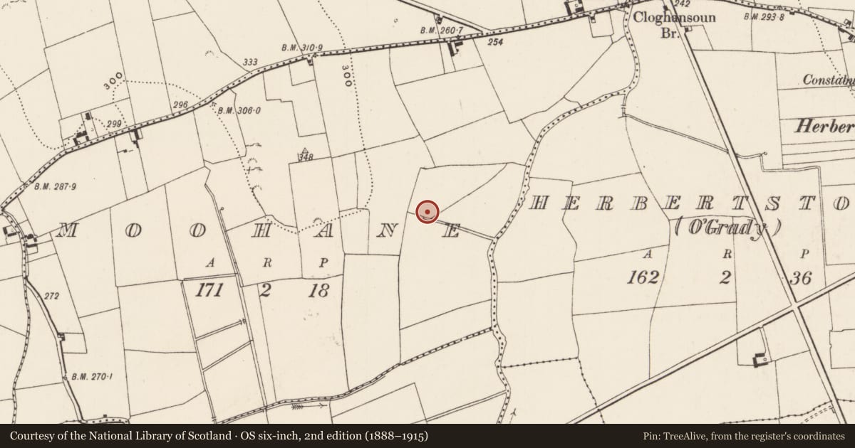 Ordnance Survey six-inch map, 2nd edition (1888–1915) covering the location of Ringfort - rath, Moohane, County Limerick, with a pin at the register's coordinates