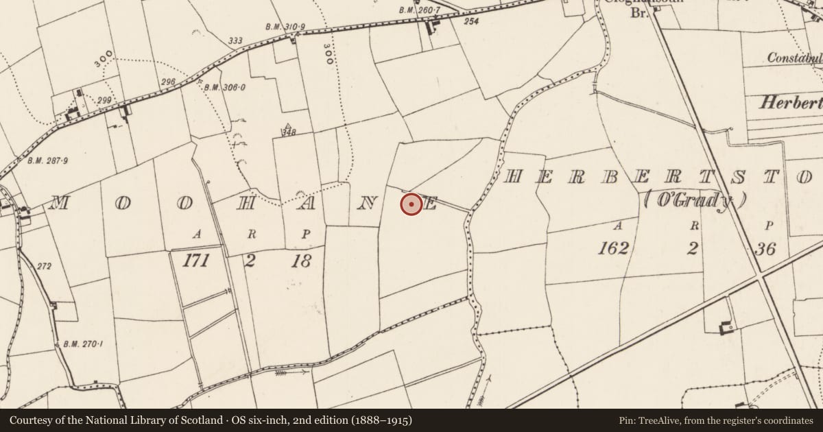Ordnance Survey six-inch map, 2nd edition (1888–1915) covering the location of Barrow - unclassified, Moohane, County Limerick, with a pin at the register's coordinates