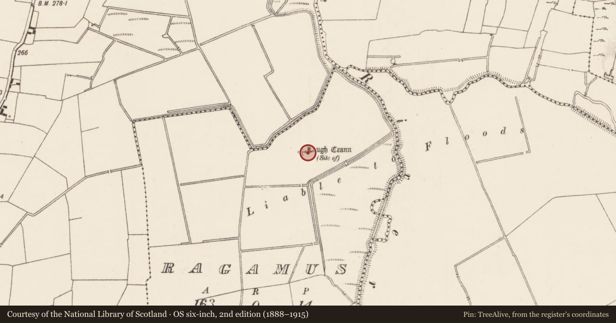 Ordnance Survey six-inch map, 2nd edition (1888–1915) covering the location of Crannog, Ragamus, County Limerick, with a pin at the register's coordinates