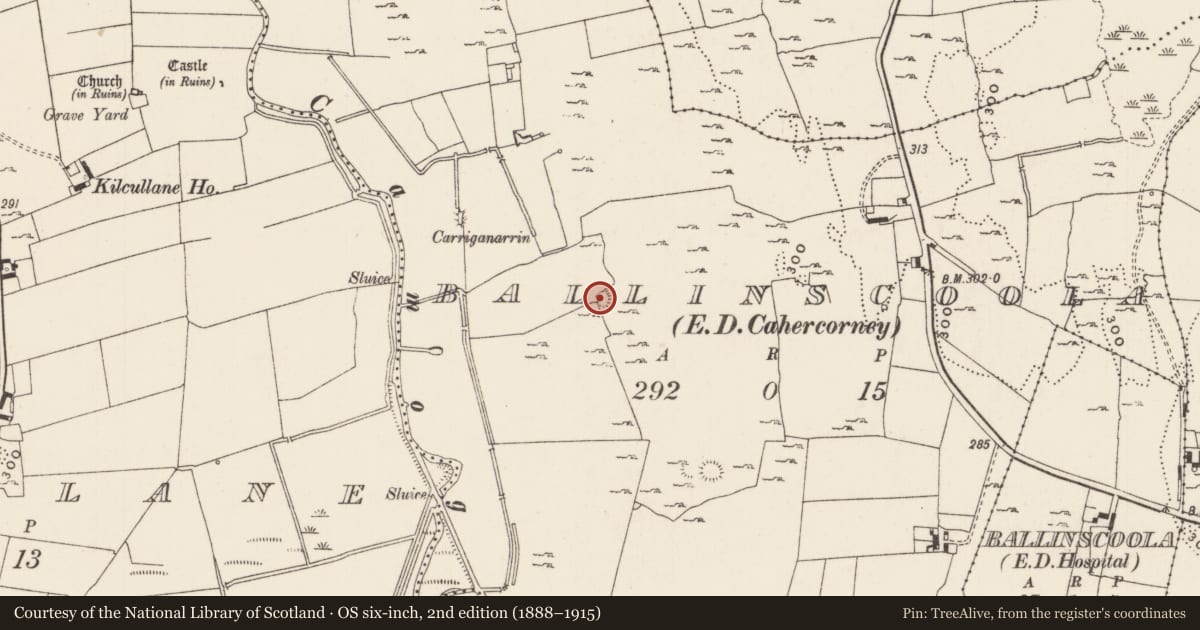 Ordnance Survey six-inch map, 2nd edition (1888–1915) covering the location of Ringfort - cashel, Ballinscoola, County Limerick, with a pin at the register's coordinates