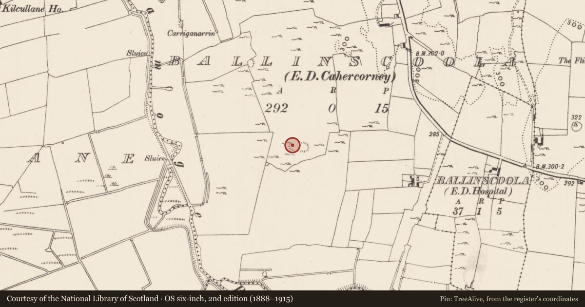 Ordnance Survey six-inch map, 2nd edition (1888–1915) covering the location of Ringfort - cashel, Ballinscoola, County Limerick, with a pin at the register's coordinates