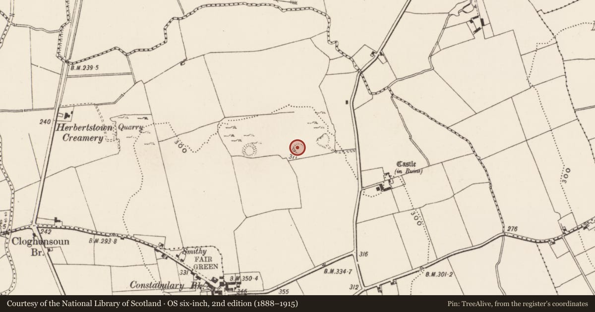 Ordnance Survey six-inch map, 2nd edition (1888–1915) covering the location of Ringfort - cashel, Ballinard, County Limerick, with a pin at the register's coordinates