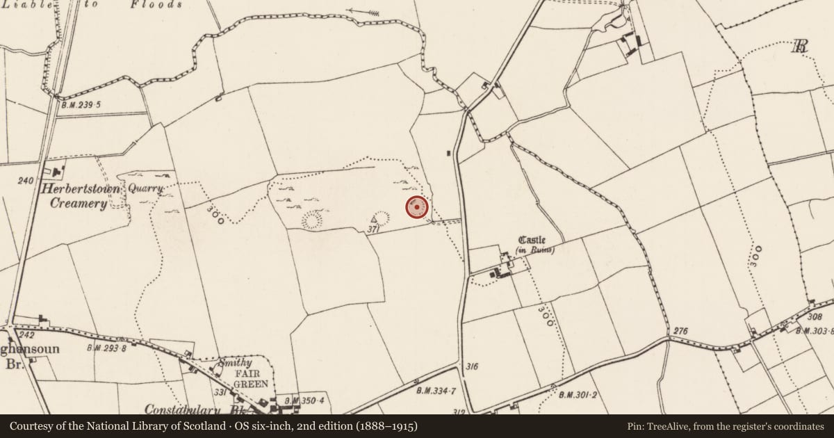 Ordnance Survey six-inch map, 2nd edition (1888–1915) covering the location of Ringfort - cashel, Ballinard, County Limerick, with a pin at the register's coordinates