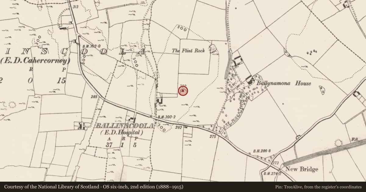 Ordnance Survey six-inch map, 2nd edition (1888–1915) covering the location of Enclosure, Ballynamona, County Limerick, with a pin at the register's coordinates