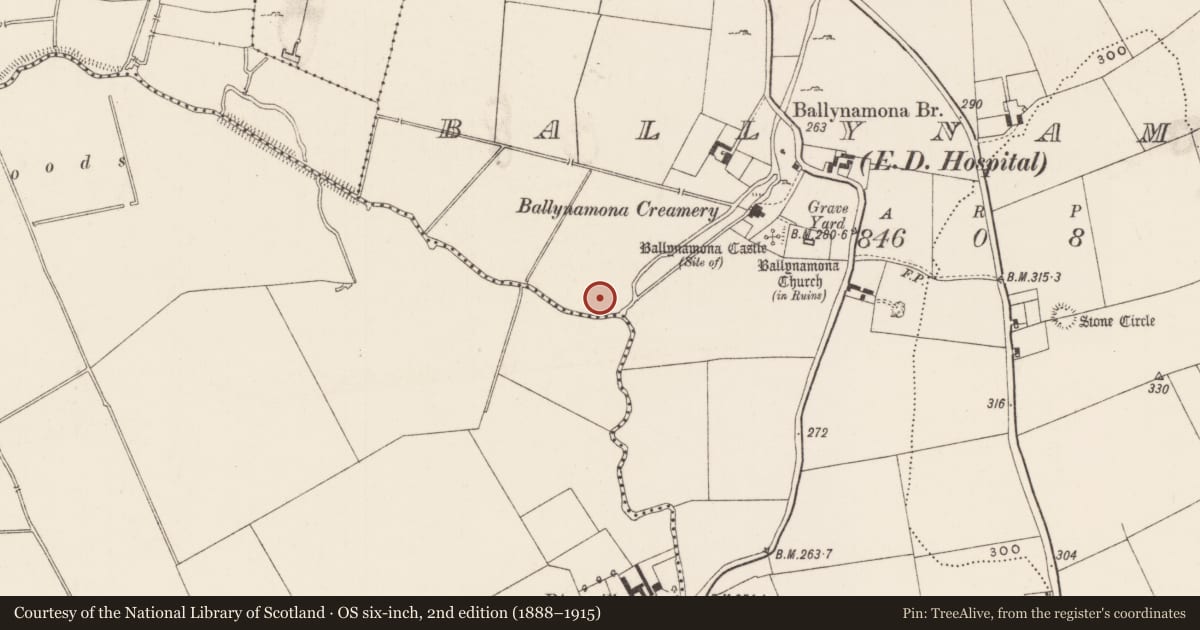 Ordnance Survey six-inch map, 2nd edition (1888–1915) covering the location of Ringfort - rath, Ballynamona, County Limerick, with a pin at the register's coordinates