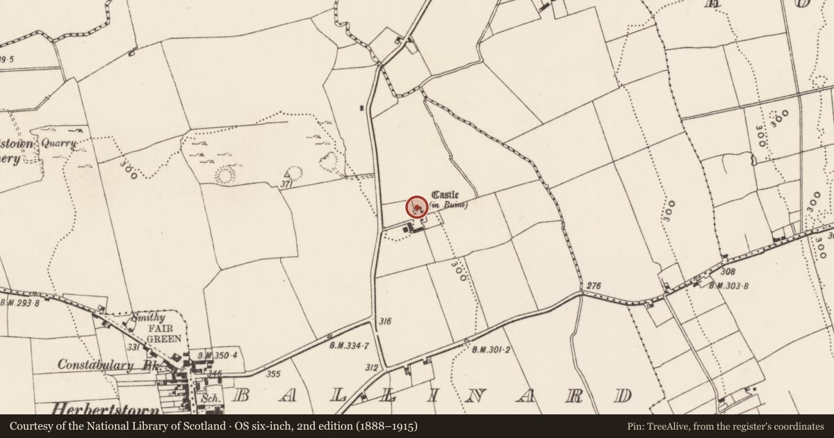 Ordnance Survey six-inch map, 2nd edition (1888–1915) covering the location of Castle - unclassified, Ballinard, County Limerick, with a pin at the register's coordinates