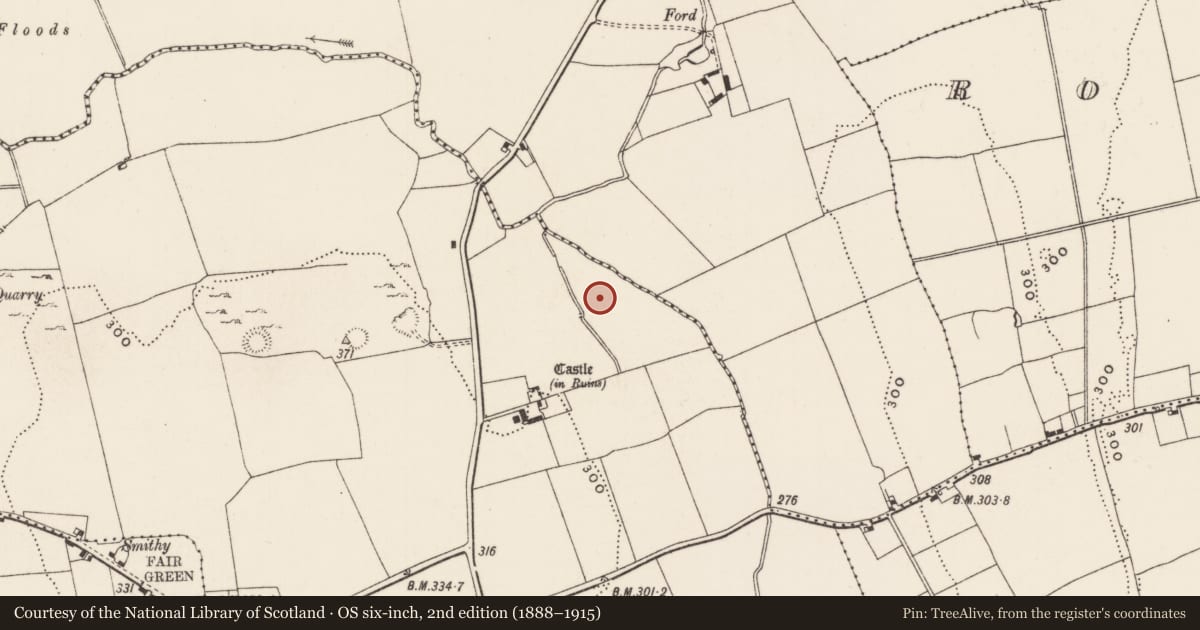 Ordnance Survey six-inch map, 2nd edition (1888–1915) covering the location of Earthwork, Ballinard, County Limerick, with a pin at the register's coordinates