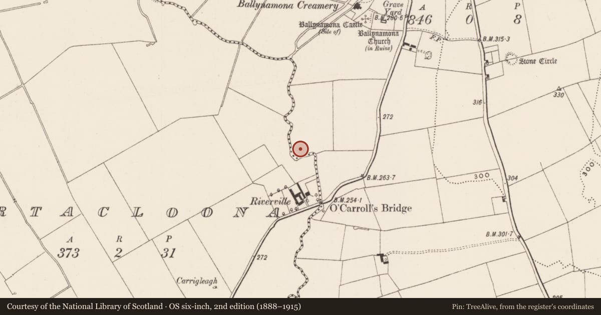Ordnance Survey six-inch map, 2nd edition (1888–1915) covering the location of Ringfort - rath, Ballynamona, County Limerick, with a pin at the register's coordinates