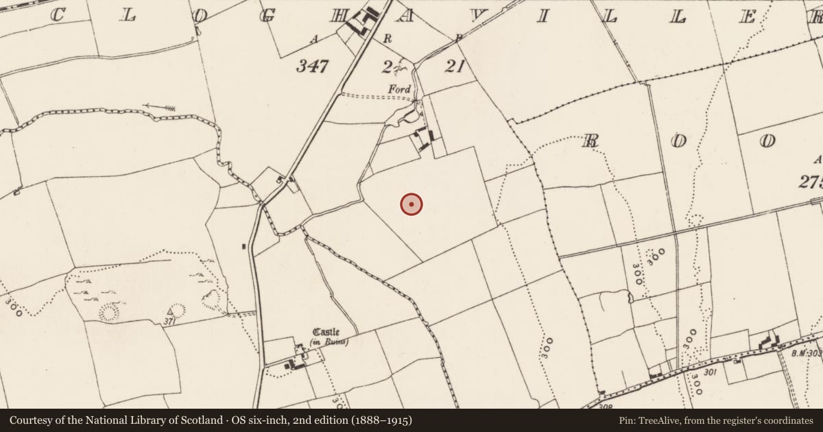 Ordnance Survey six-inch map, 2nd edition (1888–1915) covering the location of Standing stone, Cloghaviller, County Limerick, with a pin at the register's coordinates