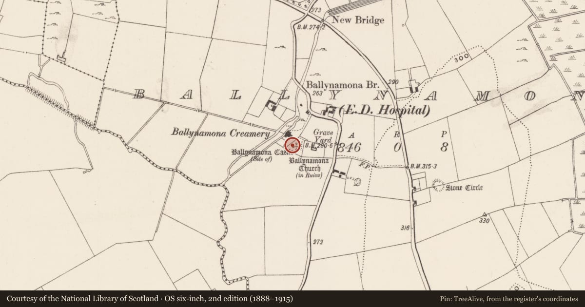 Ordnance Survey six-inch map, 2nd edition (1888–1915) covering the location of Castle - unclassified, Ballynamona, County Limerick, with a pin at the register's coordinates